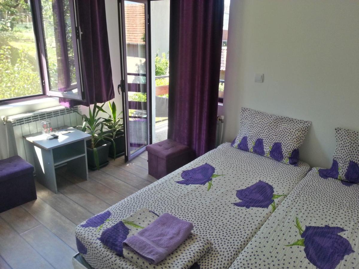 Guest House Bedrock Belogradchik Bagian luar foto
